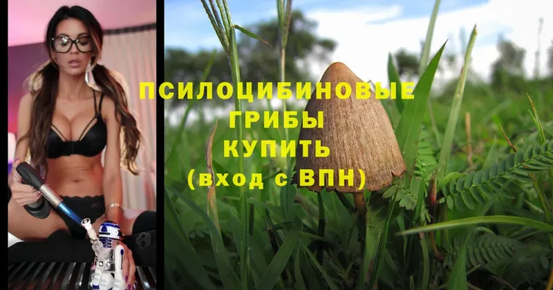 как найти закладки  omg рабочий сайт  Галлюциногенные грибы MAGIC MUSHROOMS  Коммунар 